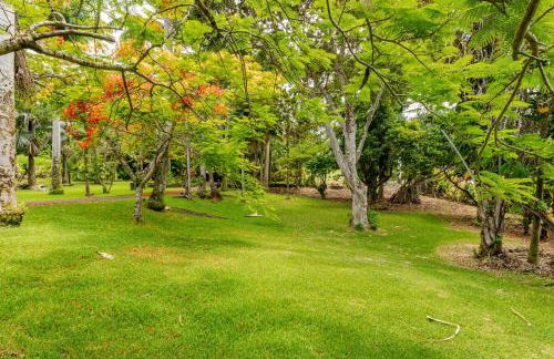 Grand Oceanfront Gated Estate on the Hamakua Coast - Foto 27