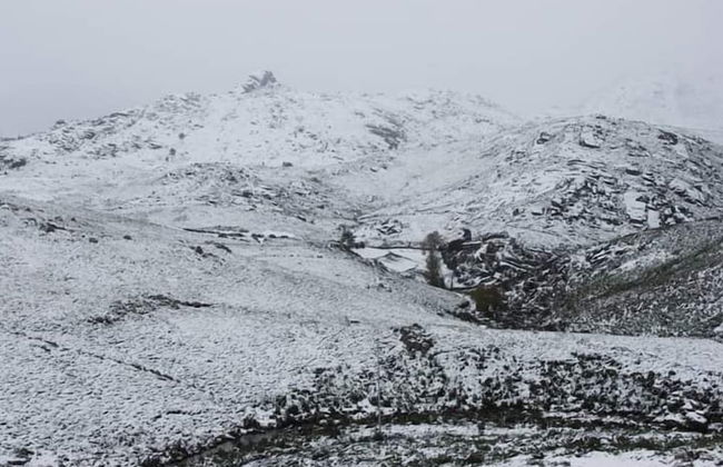 Casa da Cevidade - Foto 59