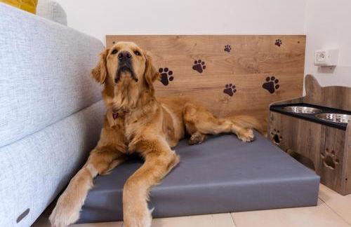 Dagi's Dolcevita Apartments - Foto 25