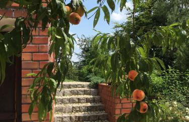 W Starym Sadzie - Foto 37