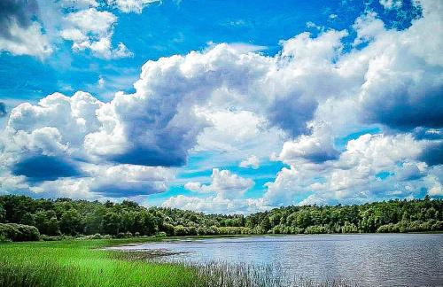 Le Cottage de la Doucette - Foto 35