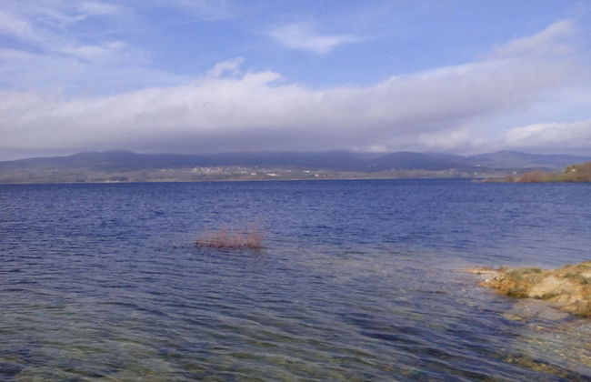 New Riyork Sweet Home - Foto 24