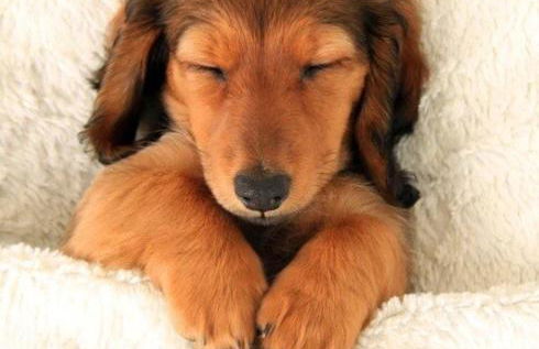 Cozy & Chic Apt King Bed -Free Parking - Foto 13