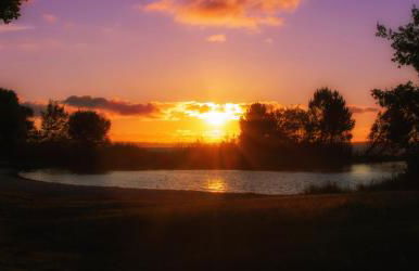 Maison paisible avec jardin - proche du lac de Sanguinet - Foto 25