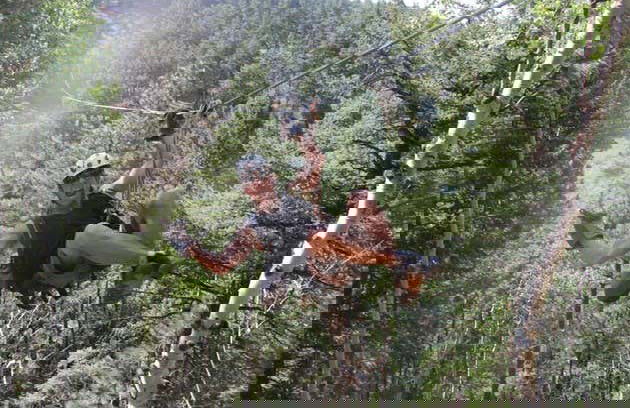 Rocky Mountain Zipline Adventure - Photo 2