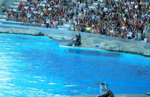 Residence Veliero - Foto 16