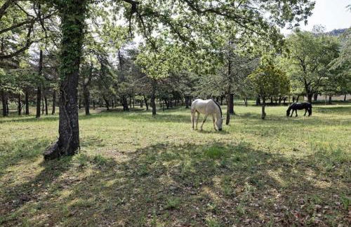 Engardin, un havre de paix en Provence Verte - Foto 49