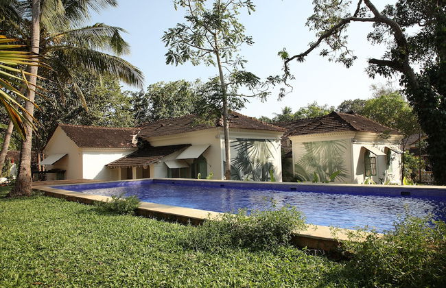 The Project Cafe Goa - Photo 19