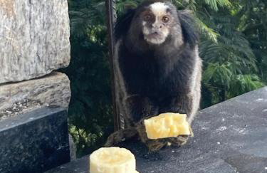 O Chalé mais bucólico de Araras. Vista linda - Foto 24