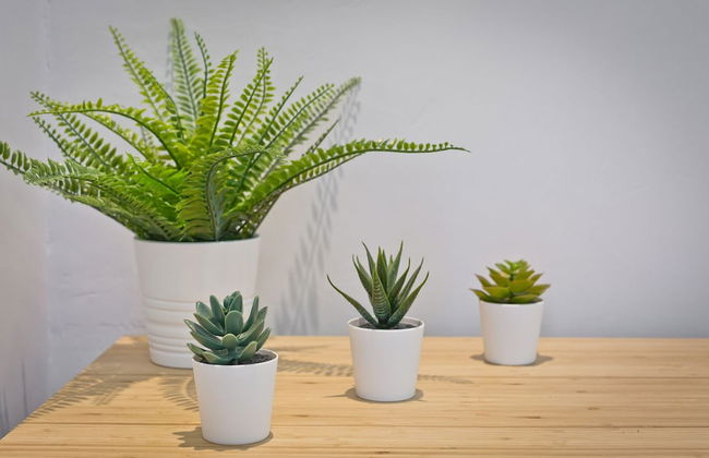 Malleus House - Photo 18