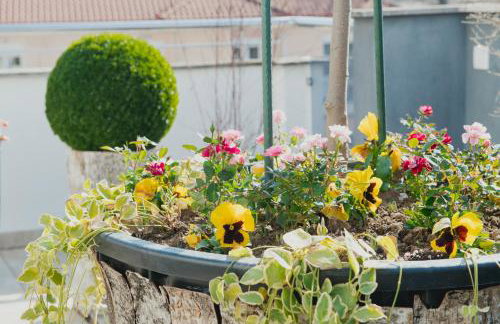 Garden Sky - Photo 55