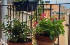 FeelhomeVIC. Ático con terraza en centro histórico - Photo 38