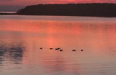 The Birds Nest - Foto 45