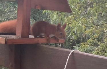 Poddasze Pierwoszyno - Foto 24