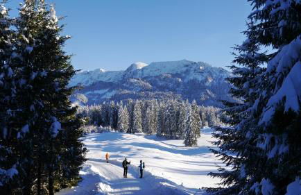 Haus Deutsch - Photo 26