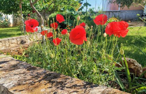 Romantic Apartment Flower - Photo 21