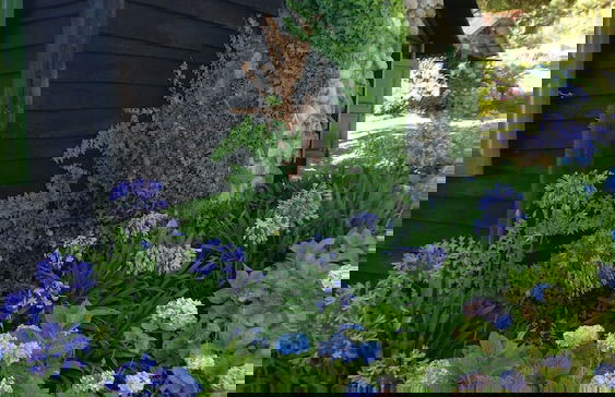 Villa Pajon Eco Lodge - Foto 46