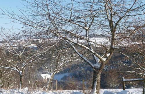 Aufenthalt in Morscheid-riedenburg - Foto 55