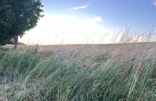 Pfarrhaus Tollensesee - Foto 37