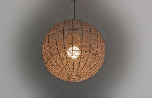 Le gîte de la glycine - Photo 8