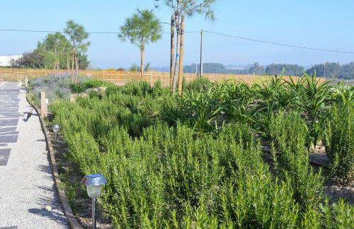 Óbidos Wood Villas - Foto 33