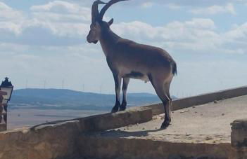 La casita del Cerro - Foto 3