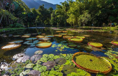 Centro Rio 1 LSFdP - Foto 46