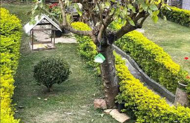 Imperdível - Casa aconchegante com varanda - Photo 13