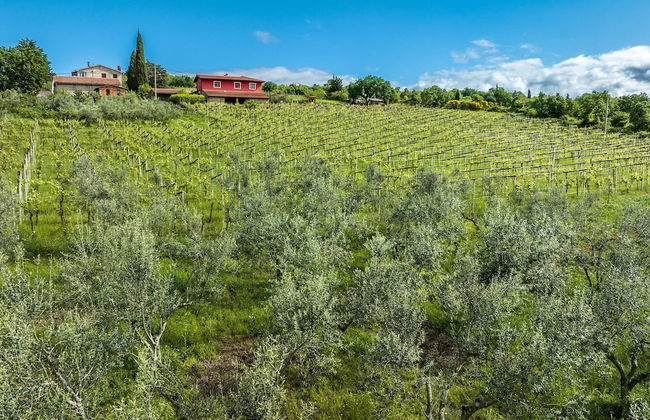 Tourist farm RED FAIRYTALE - Foto 72