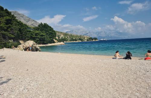 Vila nel verde - Foto 35