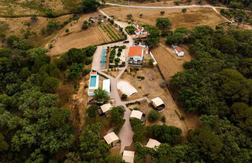 Cabanas de Melides - Foto 35