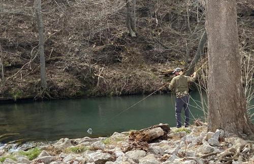 Belle Cottage - Photo 32