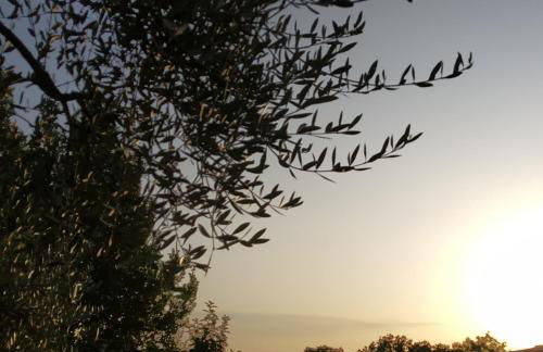 Casa La Stadera - Foto 7