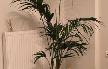 Joli apartment - Photo 9