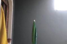 Casa Itanhaém Disponível Para Natal - Foto 2