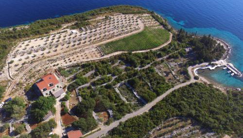 Deluxe apartman “ Koromačna” - Foto 2