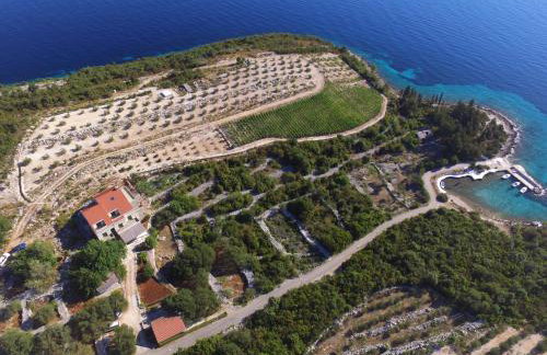 Deluxe apartman “ Koromačna” - Foto 2