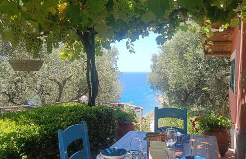 Ville Selena e Gemma - Foto 48