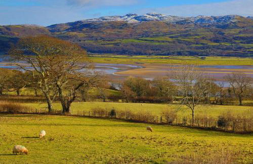 Artist's Cottage - Foto 33