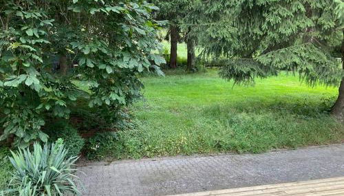 Wohnung in idyllischem Örtchen - Foto 3, Garden view