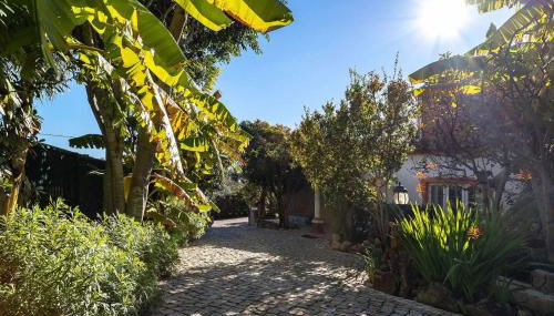 Villa V4 Máximo - Foto 2, Garden