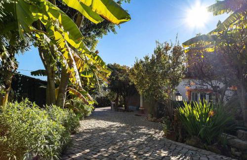 Villa V4 Máximo - Foto 2