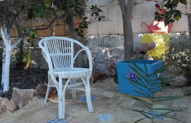 Zagara di Sicilia - Foto 46