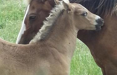 Ferienwohnung ÜckeRitz bei Familie Habben mit PKW Stellplatz - Foto 59