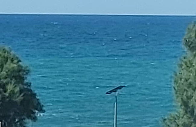 Jaffa Getaway - Foto 34