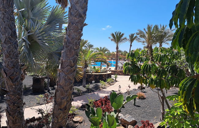 Casa Manba, Terrace, Pool and Wifi - Foto 34