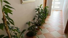 Apartments San Giorgio - Foto 3