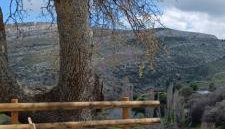 Hatzanario Apeiranthos - Photo 3