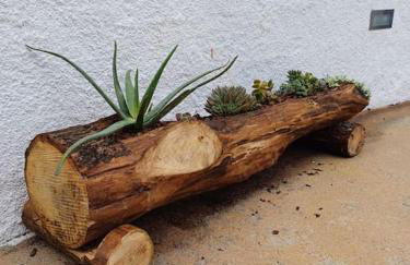 Lugar da Borralheira - Foto 42