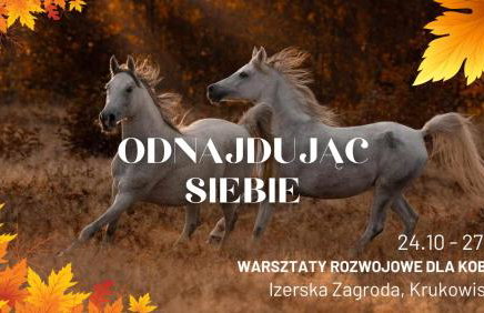 Izerska Zagroda - Foto 30